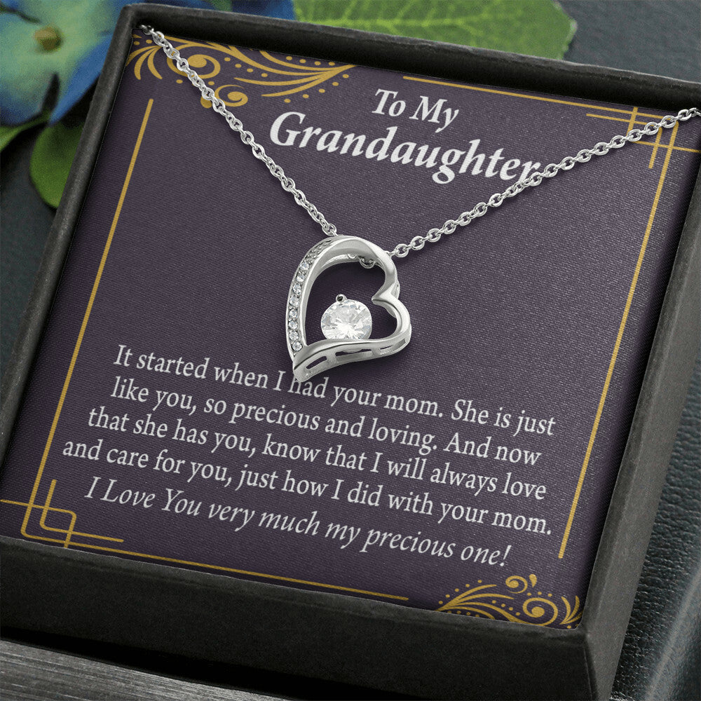 To My Granddaughter Precious One From Grandma Forever Necklace w Message Card-Express Your Love Gifts
