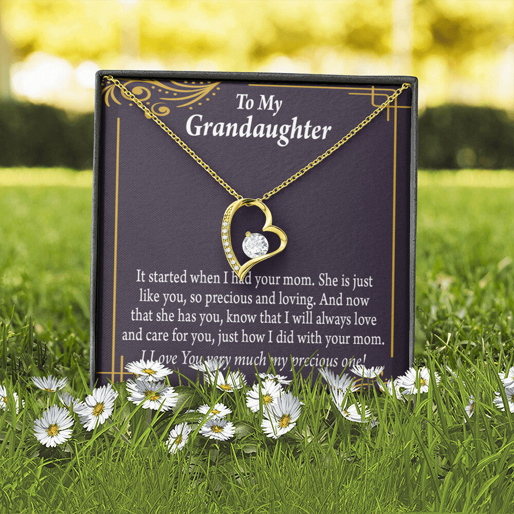 To My Granddaughter Precious One From Grandma Forever Necklace w Message Card-Express Your Love Gifts