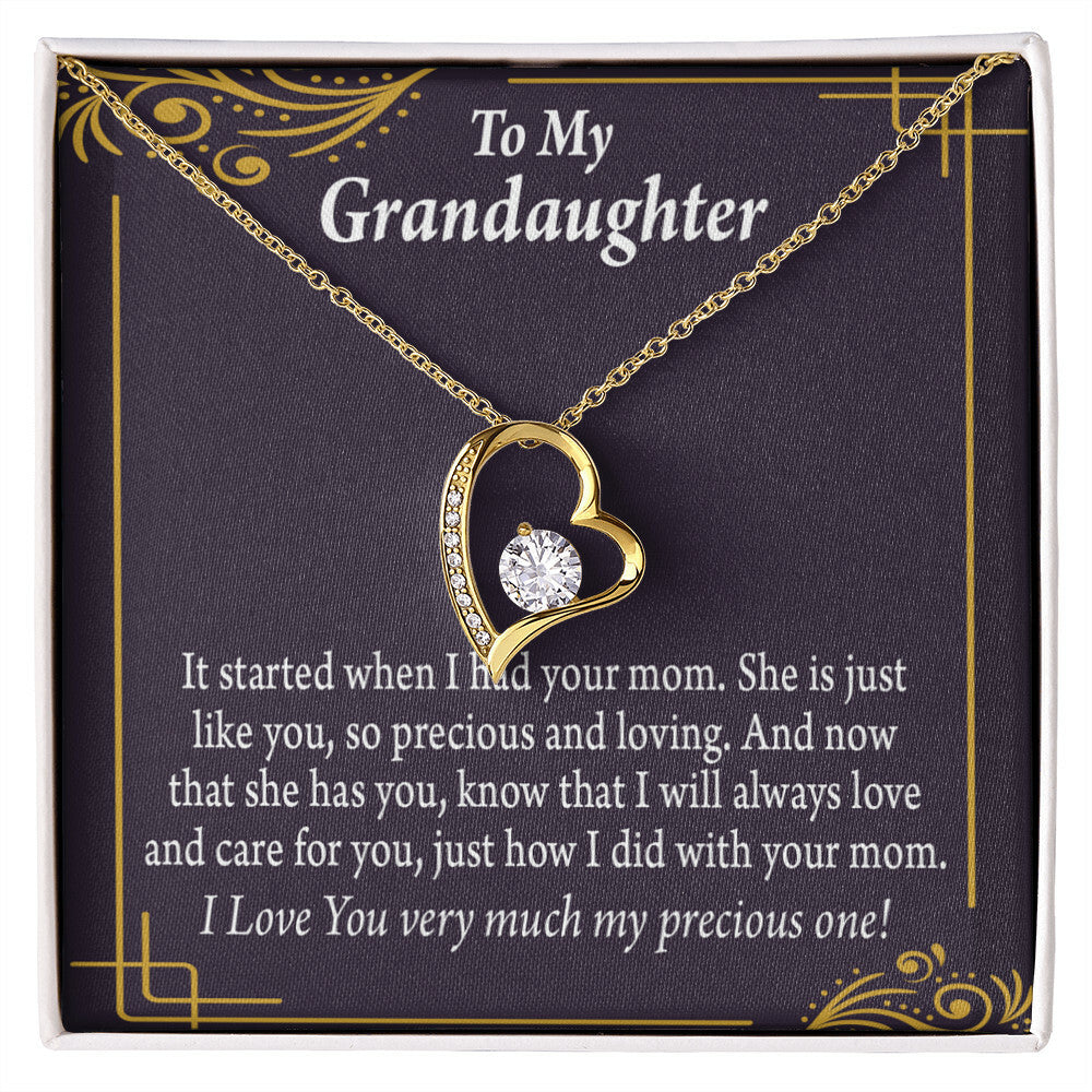 To My Granddaughter Precious One From Grandma Forever Necklace w Message Card-Express Your Love Gifts