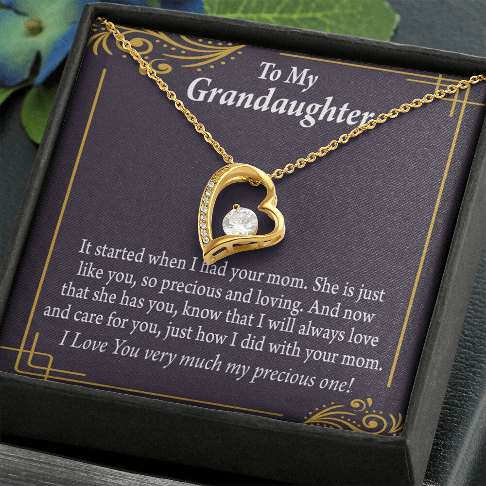 To My Granddaughter Precious One From Grandma Forever Necklace w Message Card-Express Your Love Gifts