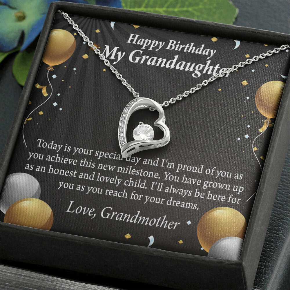 To My Granddaughter Proud of You Birthday Message From Grandma Forever Necklace w Message Card-Express Your Love Gifts