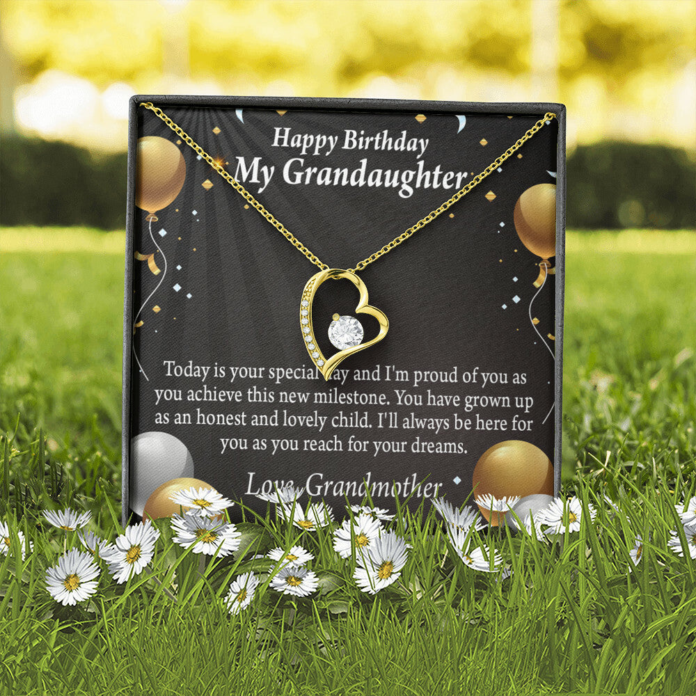 To My Granddaughter Proud of You Birthday Message From Grandma Forever Necklace w Message Card-Express Your Love Gifts