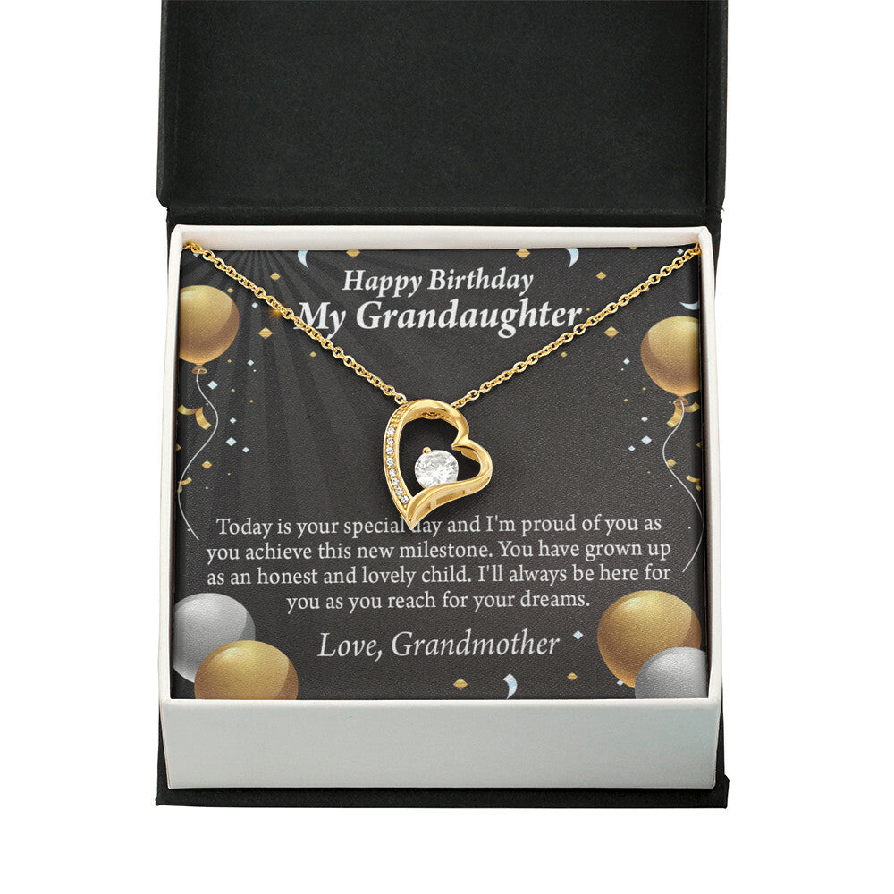 To My Granddaughter Proud of You Birthday Message From Grandma Forever Necklace w Message Card-Express Your Love Gifts