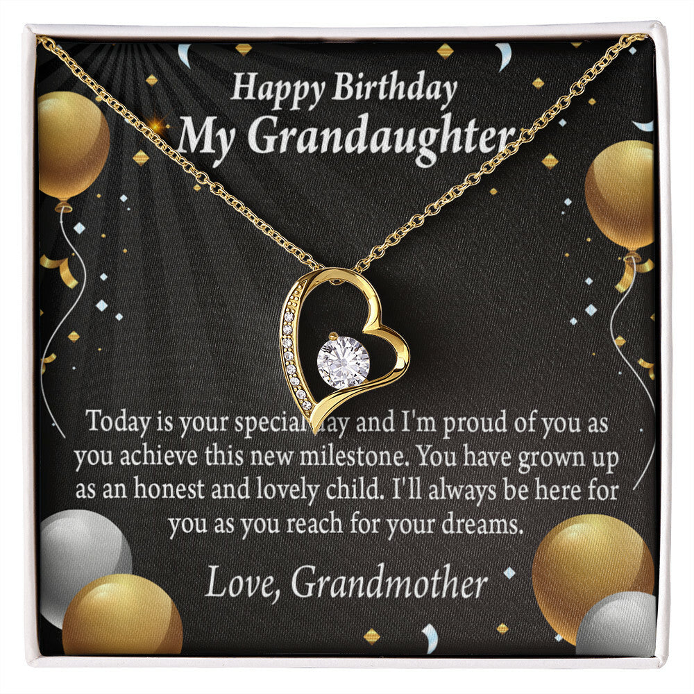 To My Granddaughter Proud of You Birthday Message From Grandma Forever Necklace w Message Card-Express Your Love Gifts