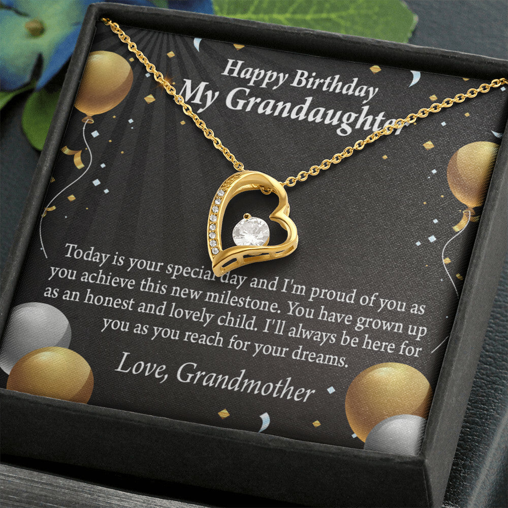 To My Granddaughter Proud of You Birthday Message From Grandma Forever Necklace w Message Card-Express Your Love Gifts