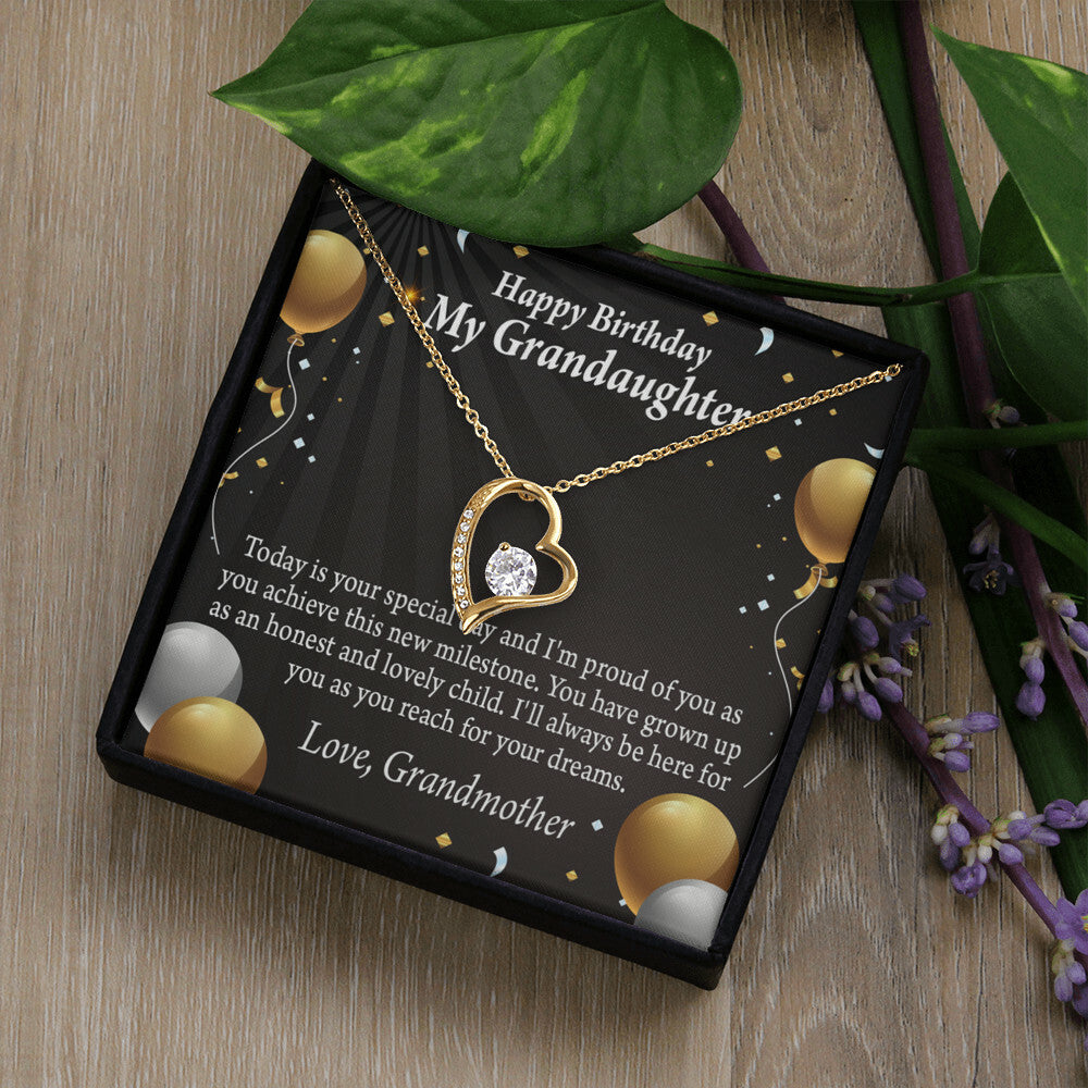 To My Granddaughter Proud of You Birthday Message From Grandma Forever Necklace w Message Card-Express Your Love Gifts