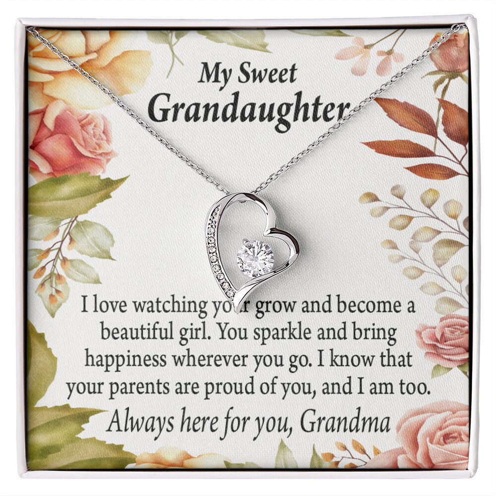 To My Granddaughter We're Proud of You From Grandma Necklace Forever Necklace w Message Card-Express Your Love Gifts