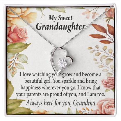 To My Granddaughter We're Proud of You From Grandma Necklace Forever Necklace w Message Card-Express Your Love Gifts