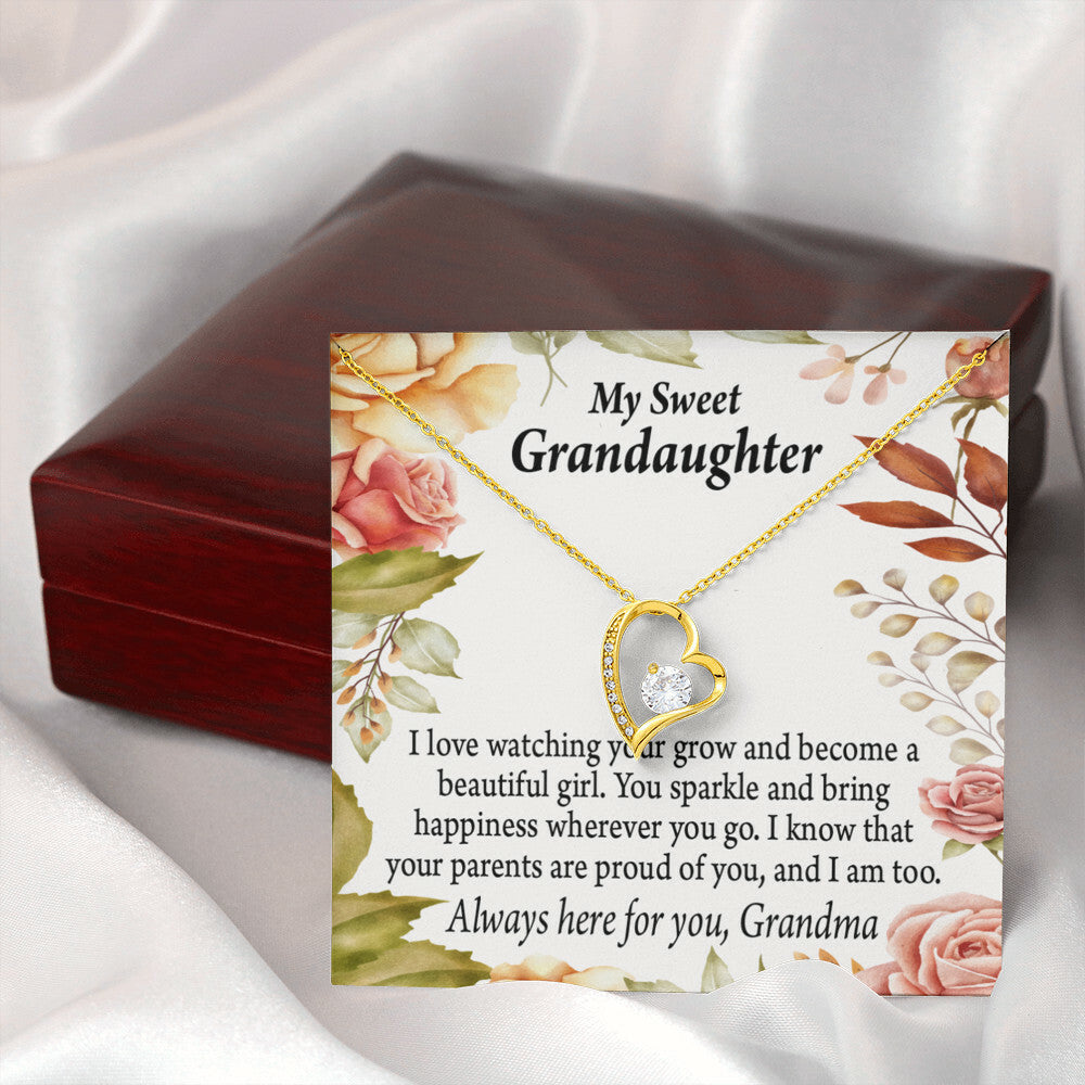 To My Granddaughter We're Proud of You From Grandma Necklace Forever Necklace w Message Card-Express Your Love Gifts