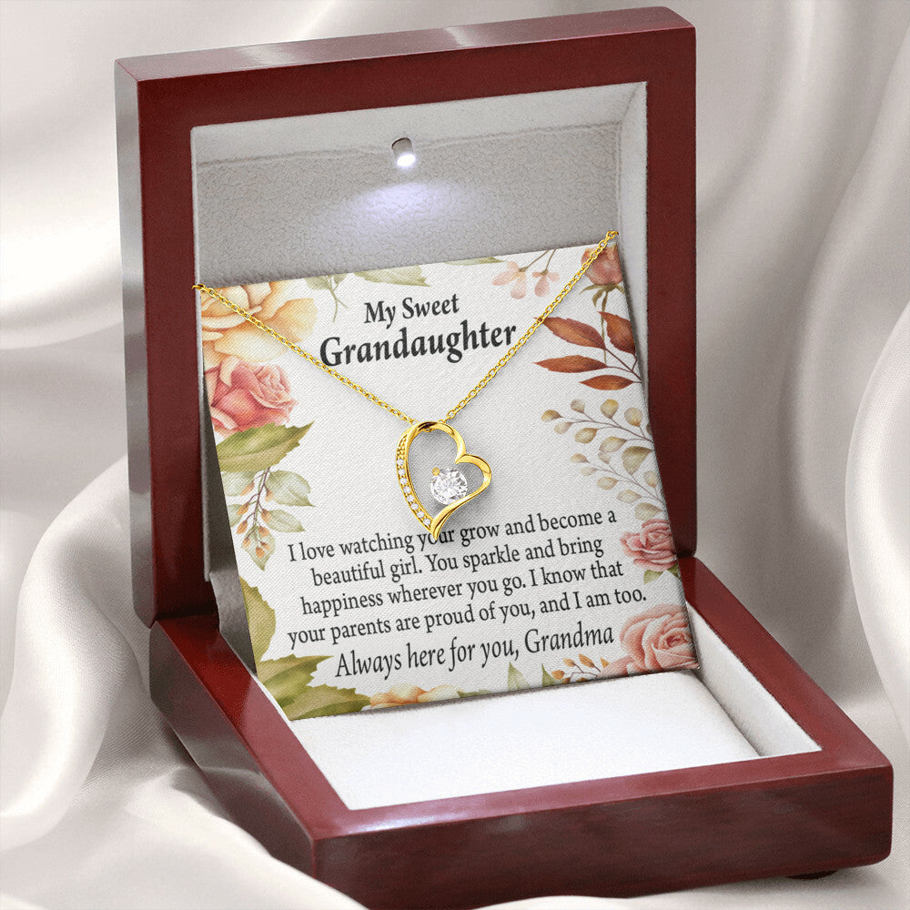 To My Granddaughter We're Proud of You From Grandma Necklace Forever Necklace w Message Card-Express Your Love Gifts