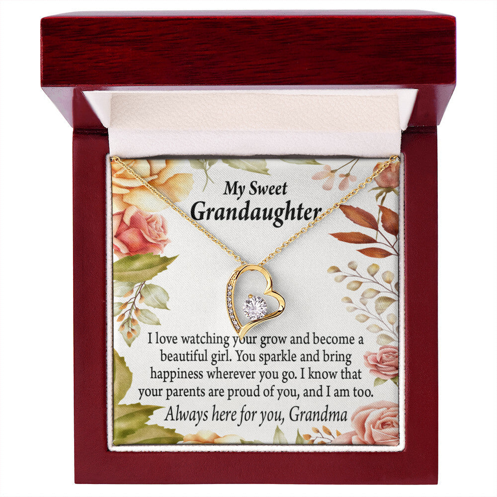 To My Granddaughter We're Proud of You From Grandma Necklace Forever Necklace w Message Card-Express Your Love Gifts
