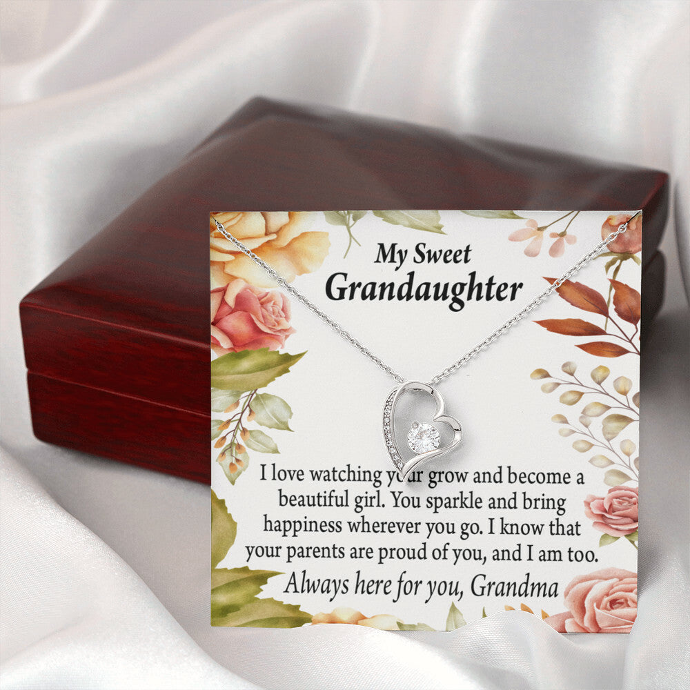 To My Granddaughter We're Proud of You From Grandma Necklace Forever Necklace w Message Card-Express Your Love Gifts