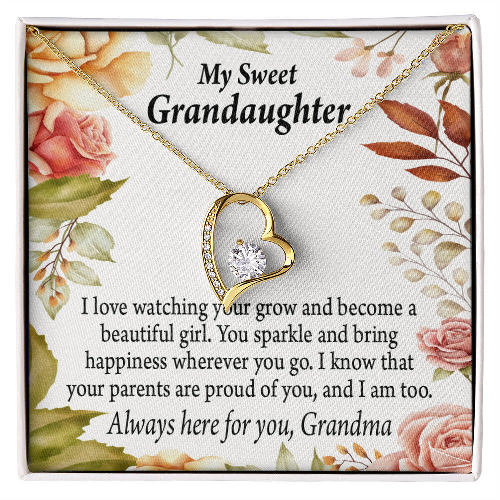 To My Granddaughter We're Proud of You From Grandma Necklace Forever Necklace w Message Card-Express Your Love Gifts