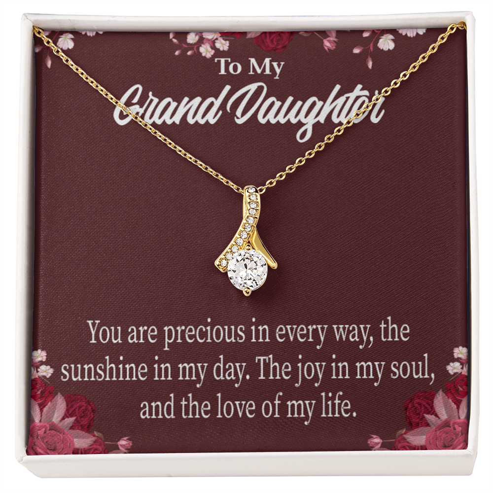 To My Granddaughter You are Precious Alluring Ribbon Necklace Message Card-Express Your Love Gifts