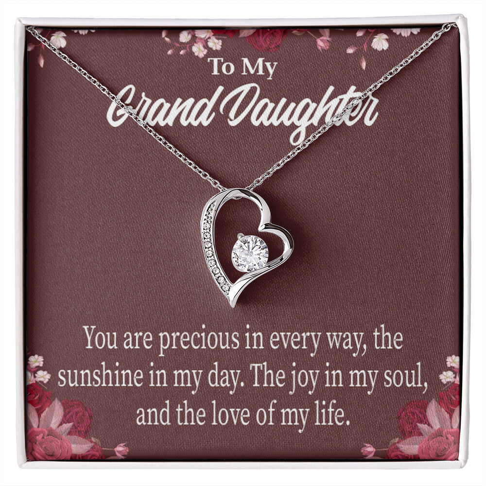 To My Granddaughter You Are Precious Forever Necklace w Message Card-Express Your Love Gifts