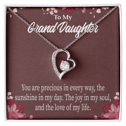 To My Granddaughter You Are Precious Forever Necklace w Message Card-Express Your Love Gifts