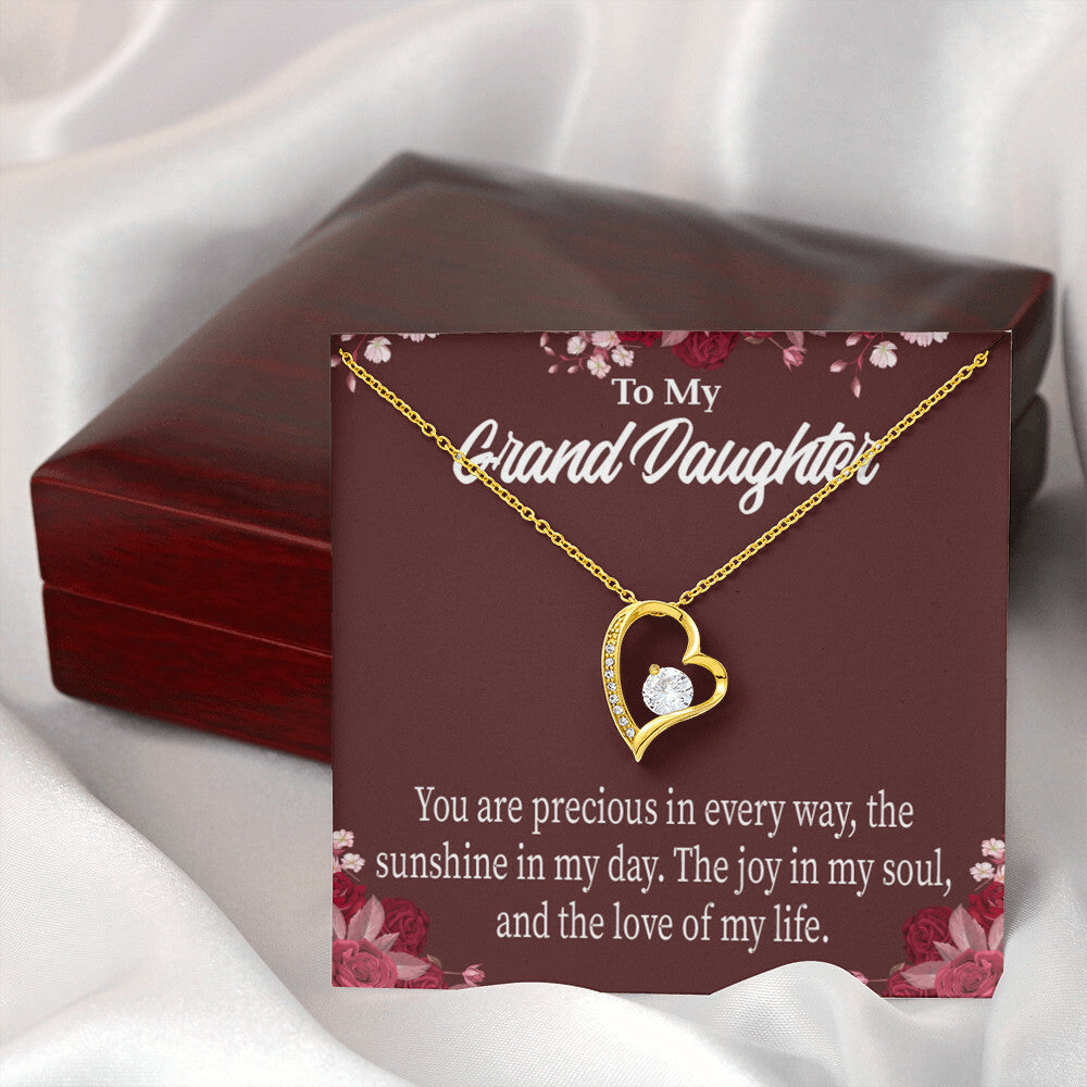 To My Granddaughter You Are Precious Forever Necklace w Message Card-Express Your Love Gifts
