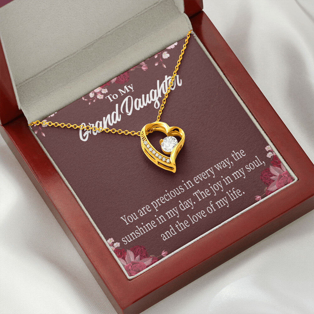 To My Granddaughter You Are Precious Forever Necklace w Message Card-Express Your Love Gifts