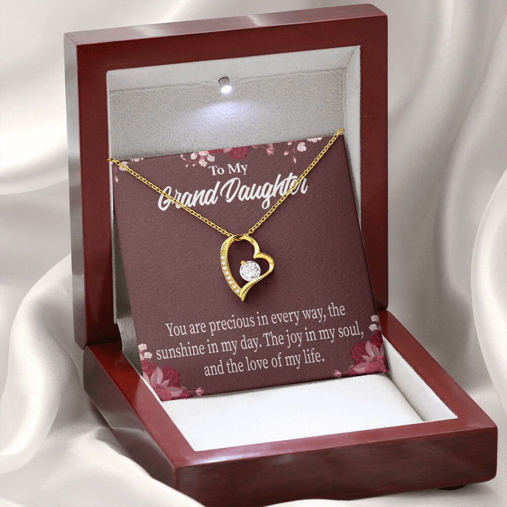 To My Granddaughter You Are Precious Forever Necklace w Message Card-Express Your Love Gifts