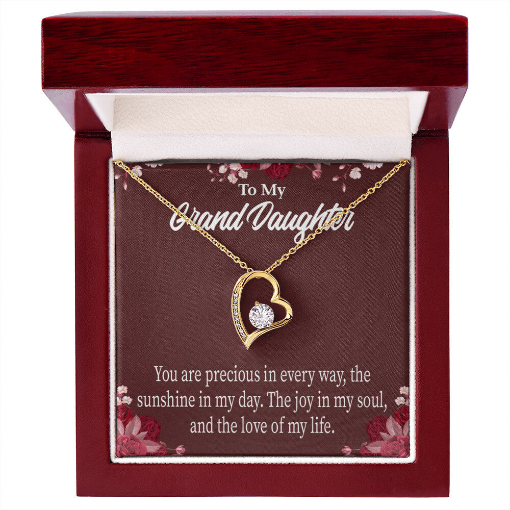To My Granddaughter You Are Precious Forever Necklace w Message Card-Express Your Love Gifts