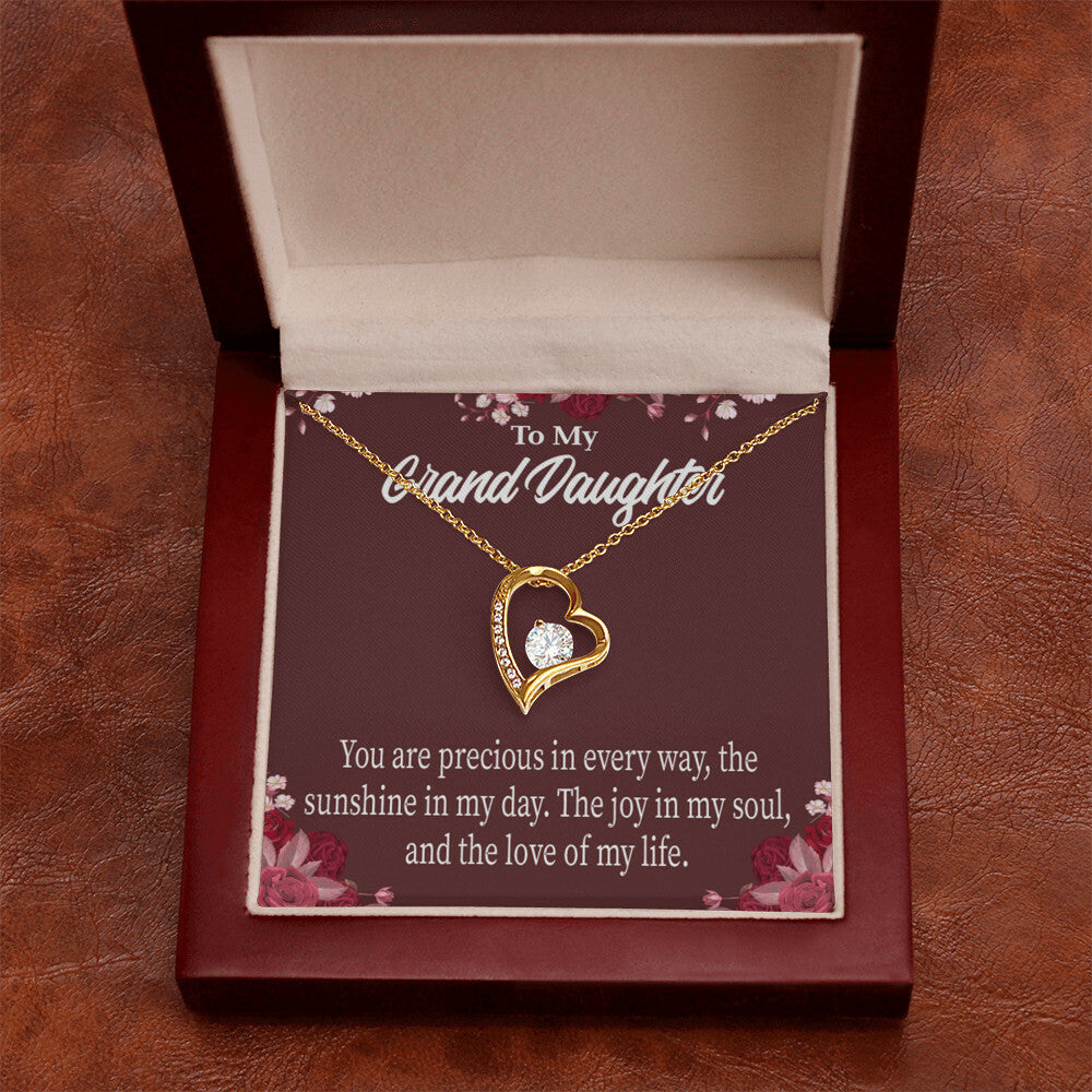 To My Granddaughter You Are Precious Forever Necklace w Message Card-Express Your Love Gifts