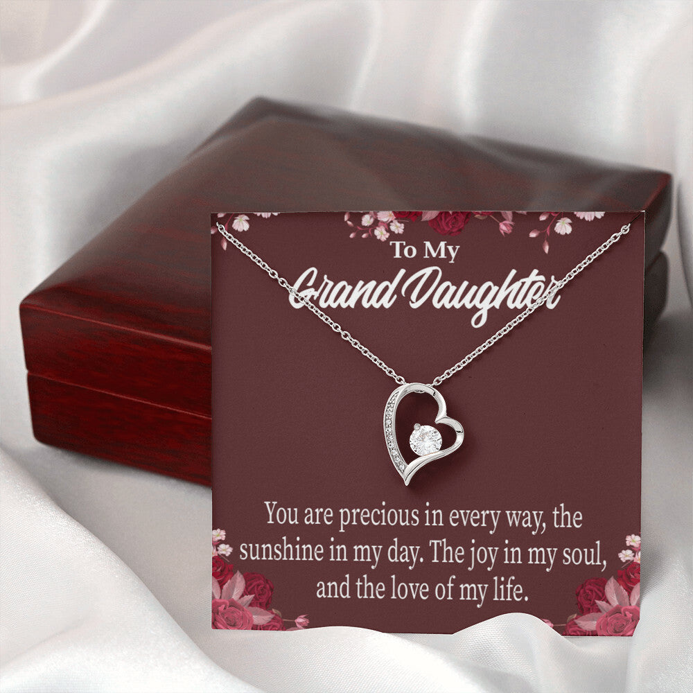 To My Granddaughter You Are Precious Forever Necklace w Message Card-Express Your Love Gifts