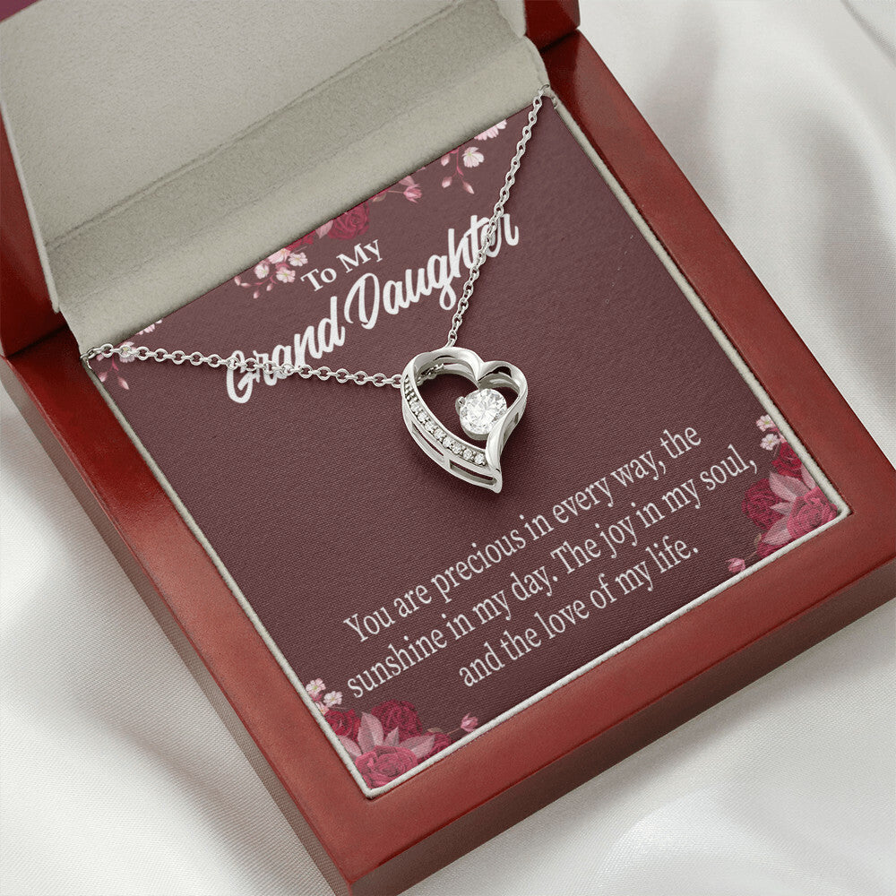 To My Granddaughter You Are Precious Forever Necklace w Message Card-Express Your Love Gifts