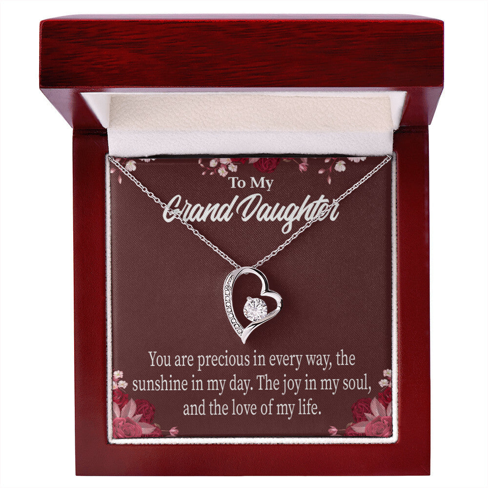 To My Granddaughter You Are Precious Forever Necklace w Message Card-Express Your Love Gifts