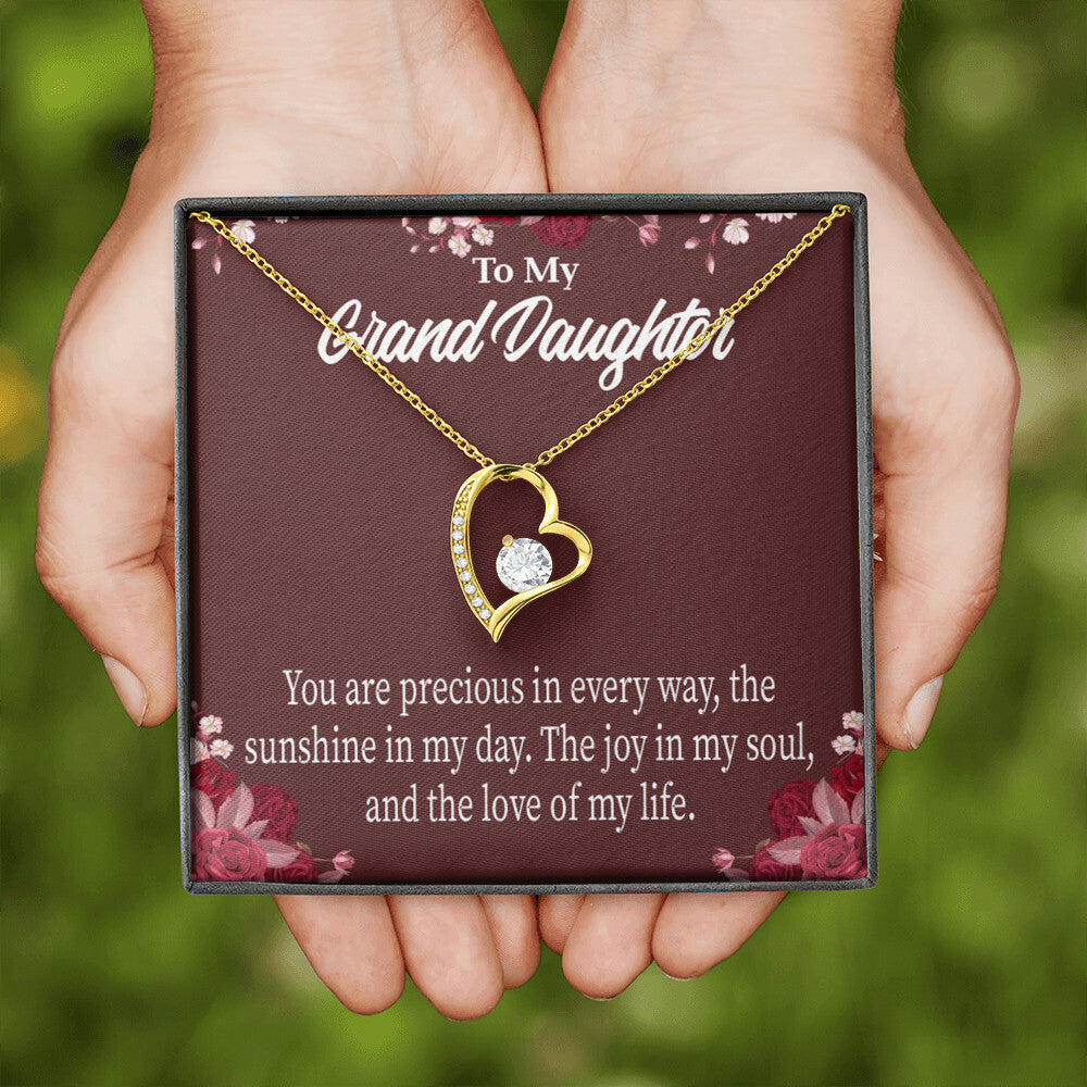 To My Granddaughter You Are Precious Forever Necklace w Message Card-Express Your Love Gifts