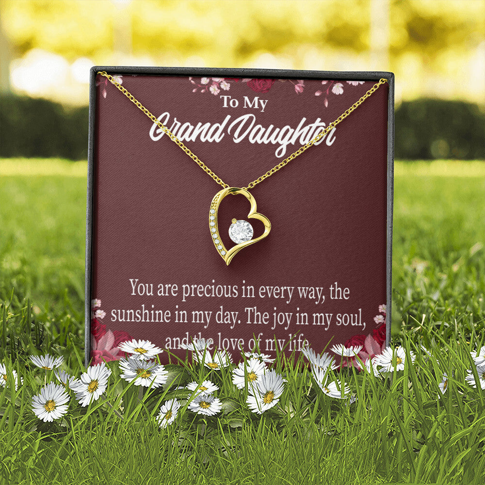 To My Granddaughter You Are Precious Forever Necklace w Message Card-Express Your Love Gifts