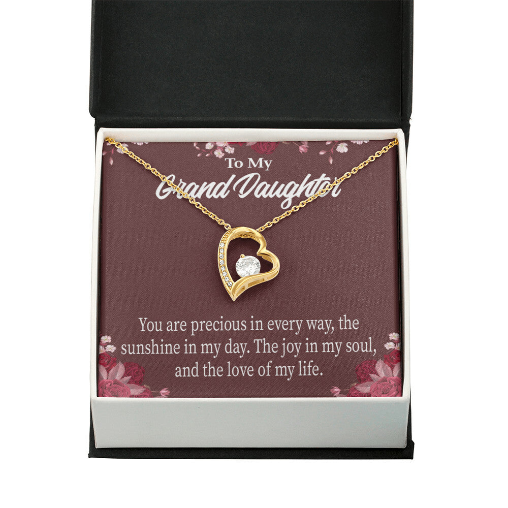To My Granddaughter You Are Precious Forever Necklace w Message Card-Express Your Love Gifts
