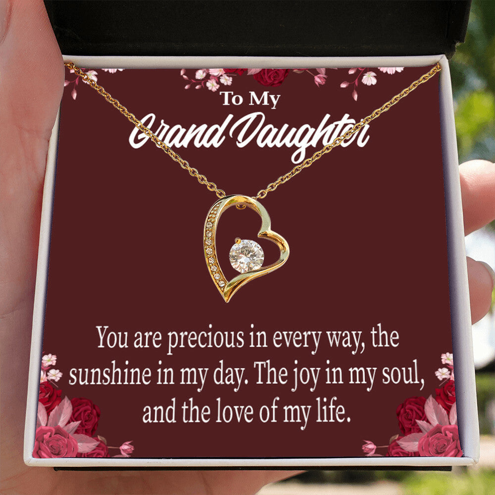 To My Granddaughter You Are Precious Forever Necklace w Message Card-Express Your Love Gifts