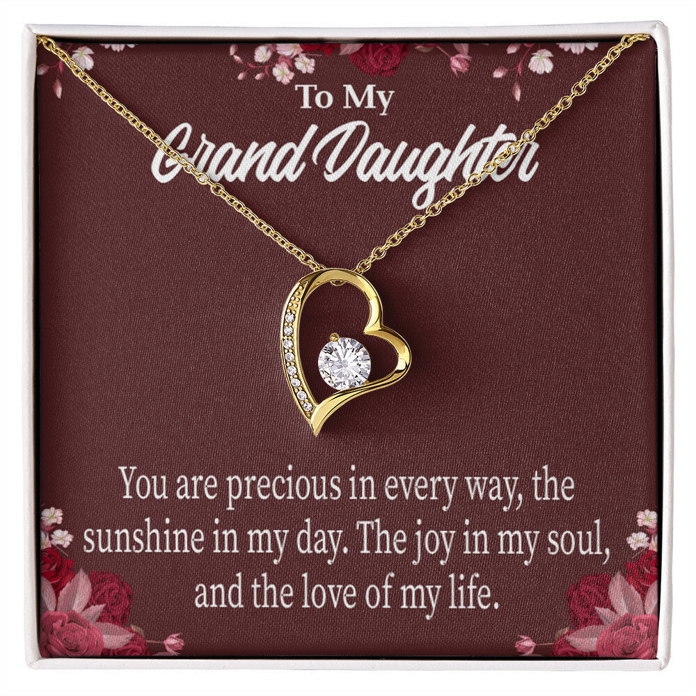 To My Granddaughter You Are Precious Forever Necklace w Message Card-Express Your Love Gifts
