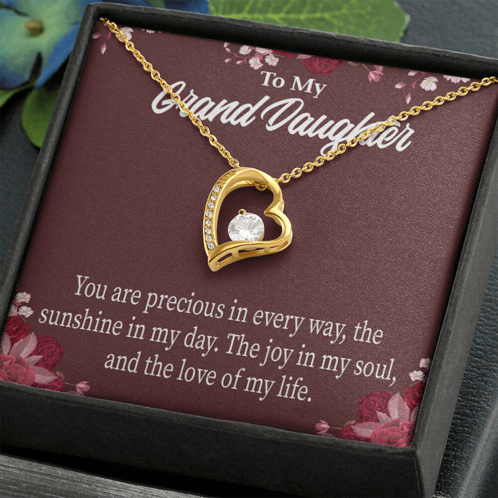 To My Granddaughter You Are Precious Forever Necklace w Message Card-Express Your Love Gifts