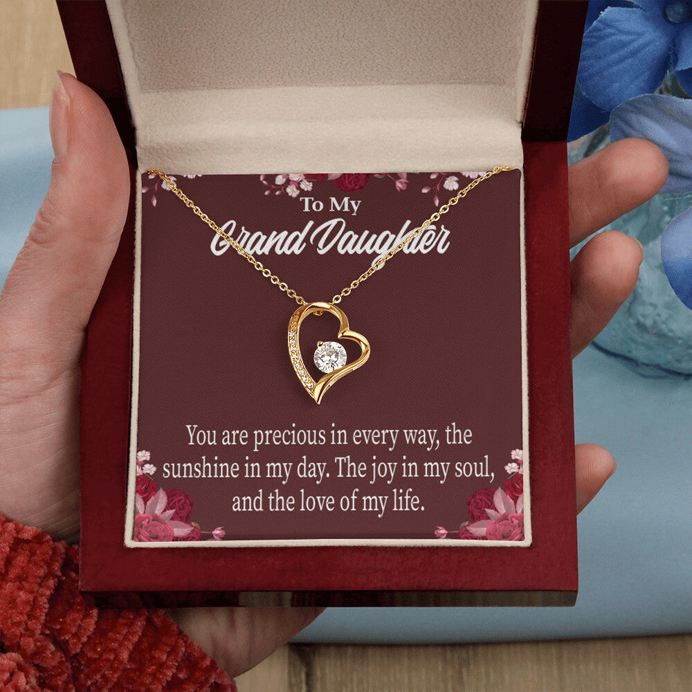 To My Granddaughter You Are Precious Forever Necklace w Message Card-Express Your Love Gifts