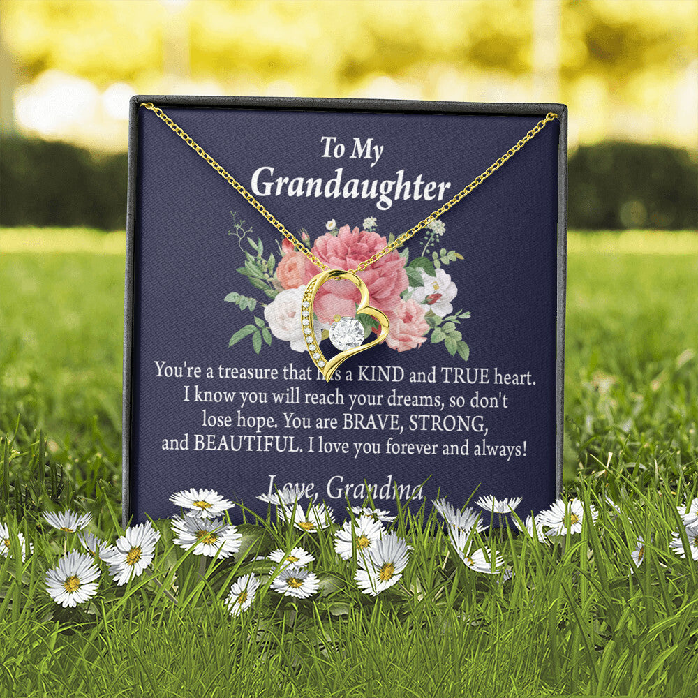 To My Granddaughter You're a Treasure Forever Necklace w Message Card-Express Your Love Gifts
