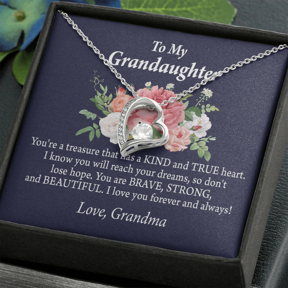 To My Granddaughter You're a Treasure Forever Necklace w Message Card-Express Your Love Gifts