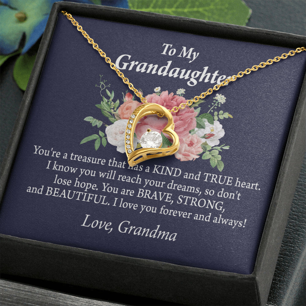 To My Granddaughter You're a Treasure Forever Necklace w Message Card-Express Your Love Gifts