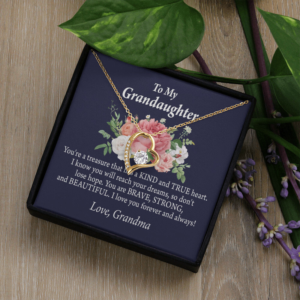 To My Granddaughter You're a Treasure Forever Necklace w Message Card-Express Your Love Gifts