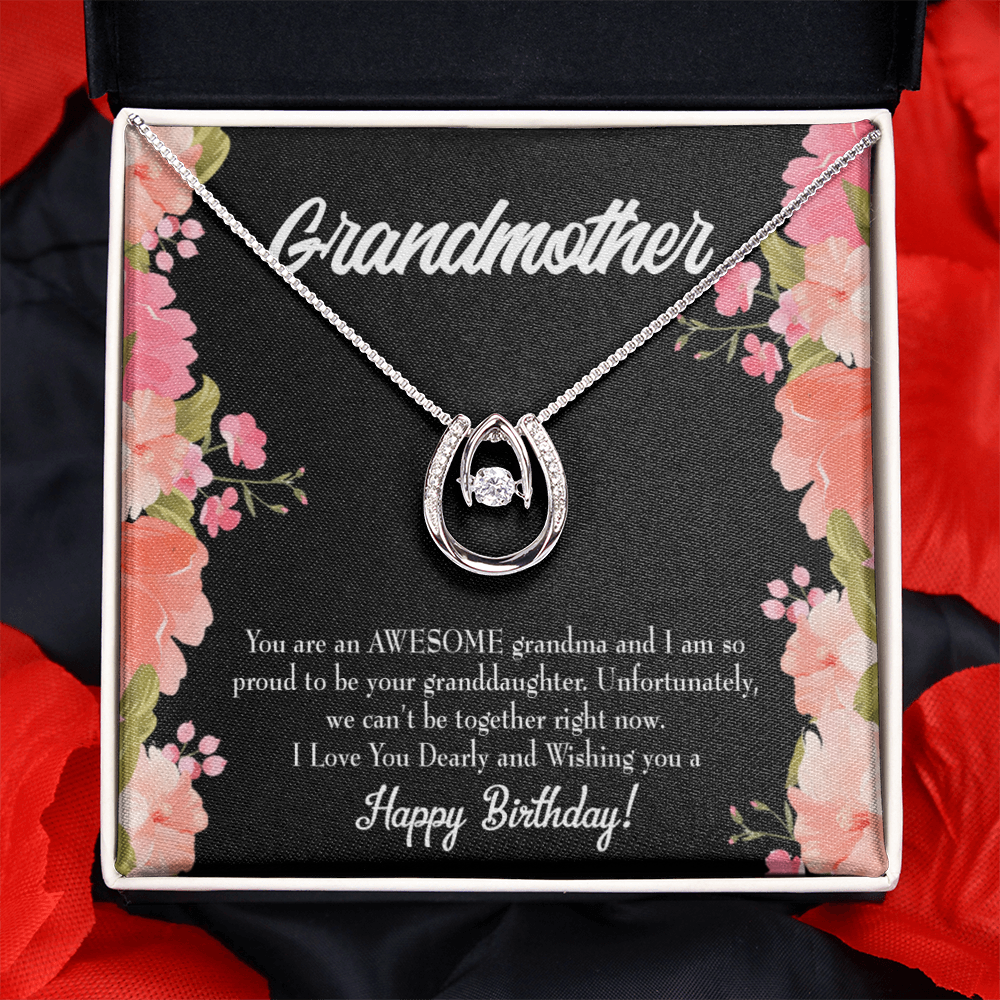 To My Grandma Awesome Grandma Birthday Message Lucky Horseshoe Necklace Message Card 14k w CZ Crystals-Express Your Love Gifts