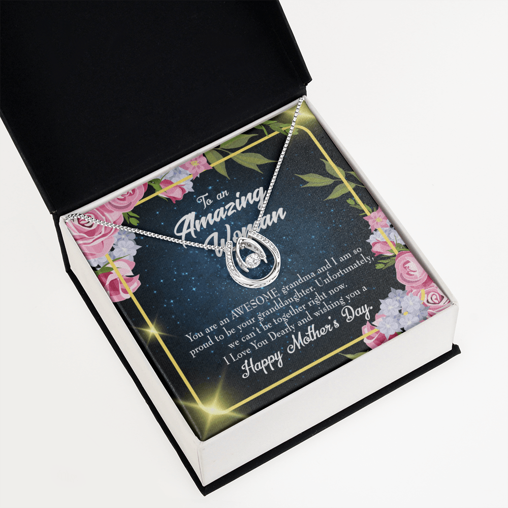 To My Grandma Awesome Grandma Lucky Horseshoe Necklace Message Card 14k w CZ Crystals-Express Your Love Gifts