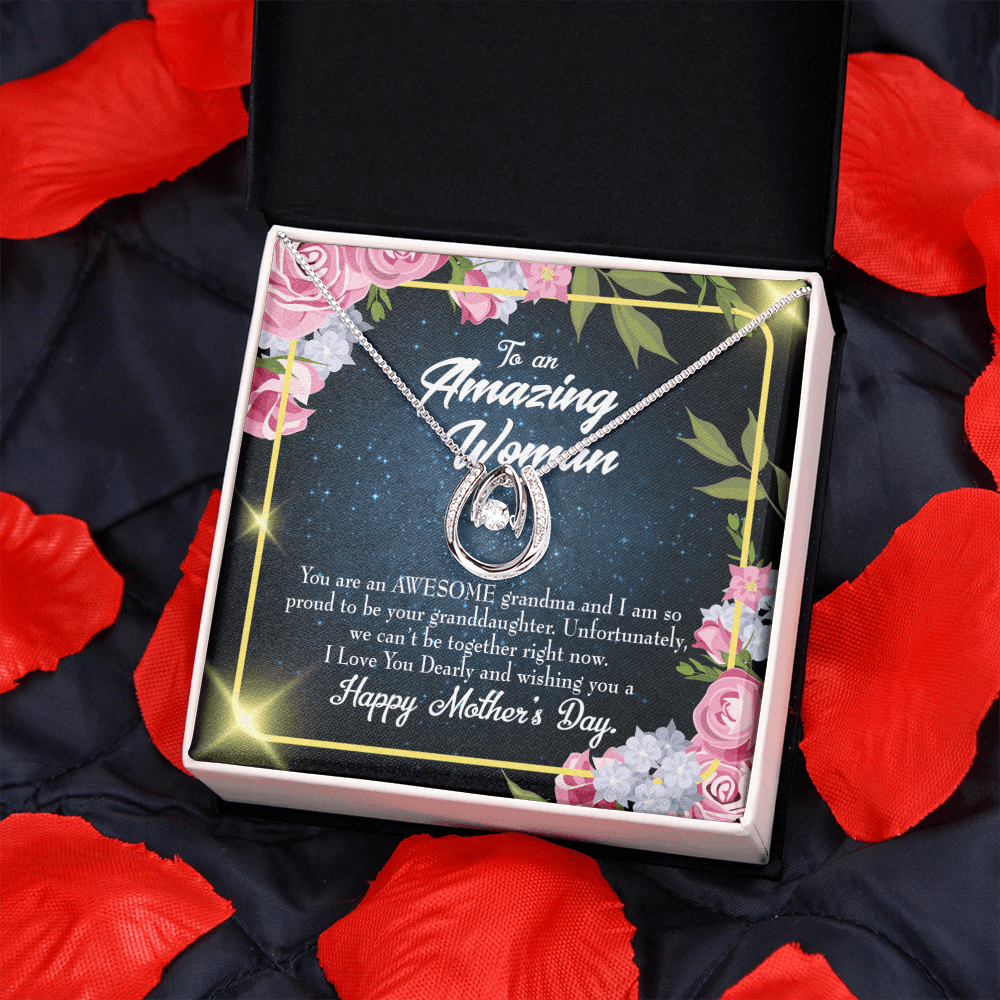 To My Grandma Awesome Grandma Lucky Horseshoe Necklace Message Card 14k w CZ Crystals-Express Your Love Gifts