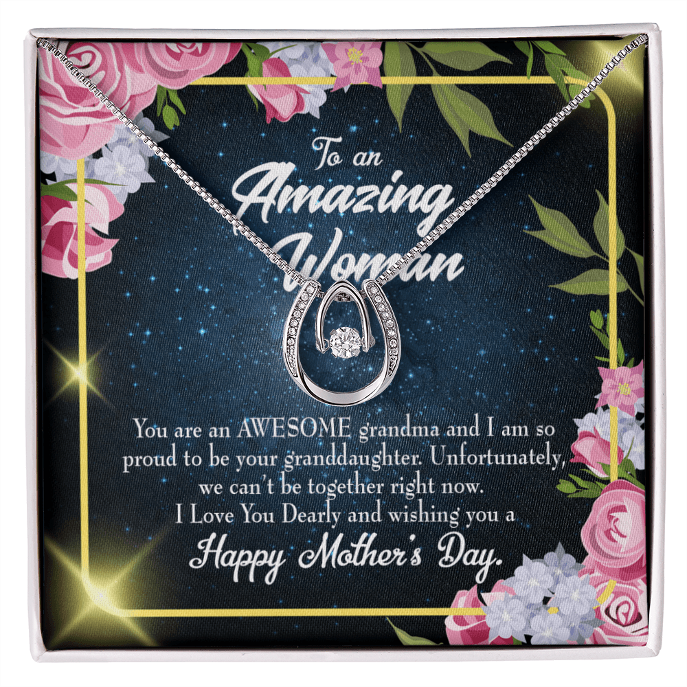 To My Grandma Awesome Grandma Lucky Horseshoe Necklace Message Card 14k w CZ Crystals-Express Your Love Gifts