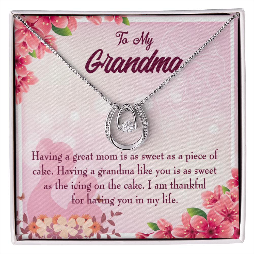 To My Grandma Icing on the Cake Lucky Horseshoe Necklace Message Card 14k w CZ Crystals-Express Your Love Gifts