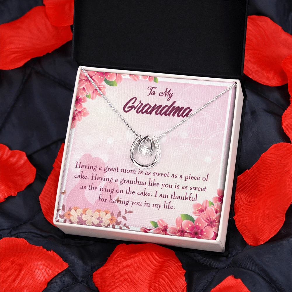To My Grandma Icing on the Cake Lucky Horseshoe Necklace Message Card 14k w CZ Crystals-Express Your Love Gifts