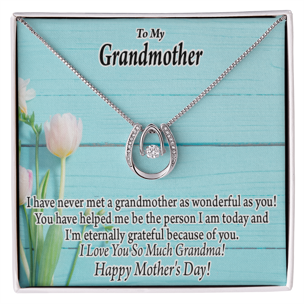 To My Grandmother Happy Mother's Day Lucky Horseshoe Necklace Message Card 14k w CZ Crystals-Express Your Love Gifts
