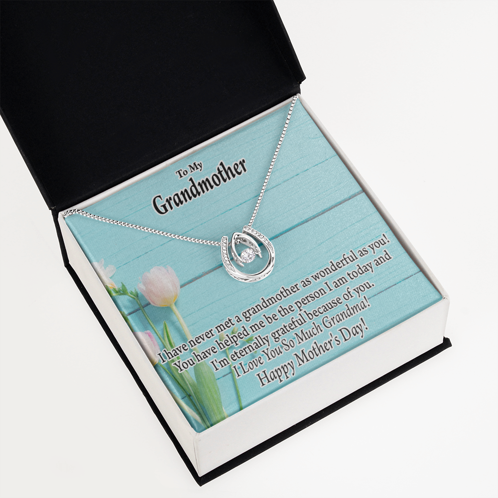 To My Grandmother Happy Mother's Day Lucky Horseshoe Necklace Message Card 14k w CZ Crystals-Express Your Love Gifts