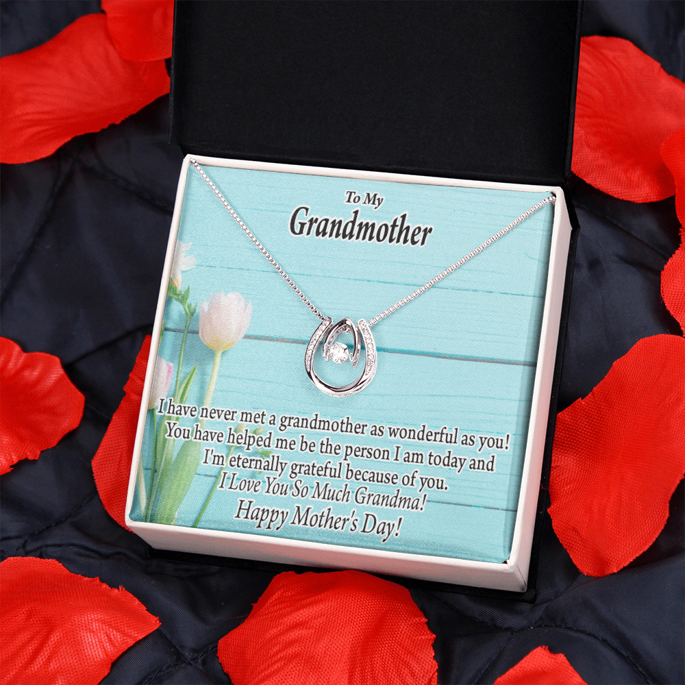 To My Grandmother Happy Mother's Day Lucky Horseshoe Necklace Message Card 14k w CZ Crystals-Express Your Love Gifts