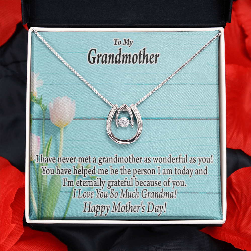 To My Grandmother Happy Mother's Day Lucky Horseshoe Necklace Message Card 14k w CZ Crystals-Express Your Love Gifts