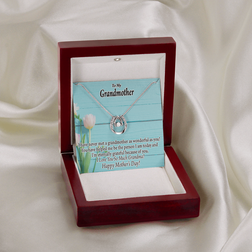 To My Grandmother Happy Mother's Day Lucky Horseshoe Necklace Message Card 14k w CZ Crystals-Express Your Love Gifts